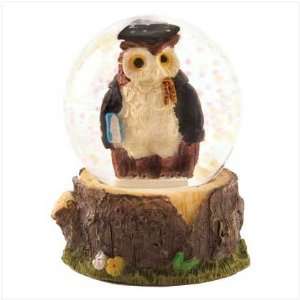  Scholarly Owl Waterglobe Decorative Table Top Figurine 