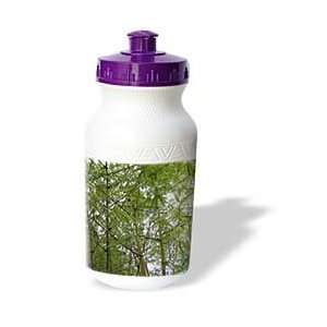  Florene Trees   Bamboo Forest   Water Bottles Sports 
