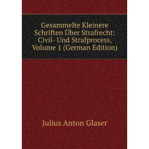   Strafprocess, Volume 1 (German Edition) Julius Anton Glaser Books