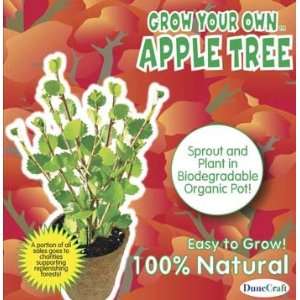    Dunecraft   Grow Your Own Apple Tree (Science) Toys & Games