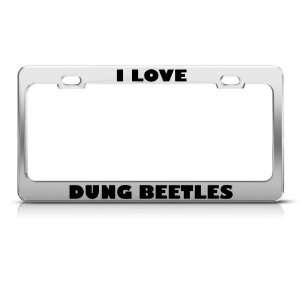   Dung Beetles Beetle Insect license plate frame Stainless Automotive
