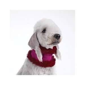  Dog Collar Muffler   Plum Velvet with Faux Fur   Small (S 