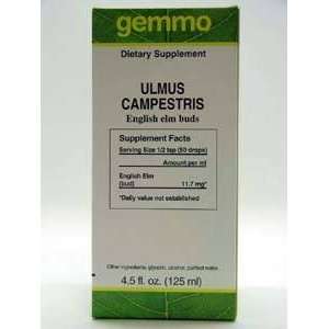  Ulmus Campestris 4.4 fl oz.