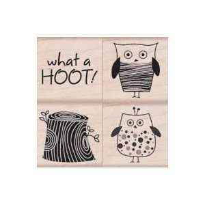  What A Hoot Design Accent by Hero Arts