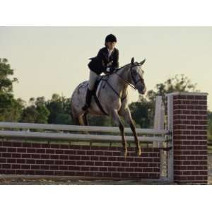  Young Woman Riding a Horse Over a Hurdle Photographic 