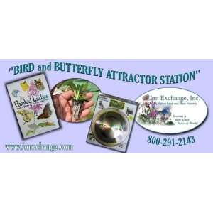  Bird and Butterfly Attractor Station 