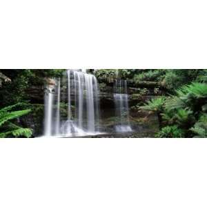 Rainforest, Mt. Field National Park, Tasmania, Australia by Panoramic 