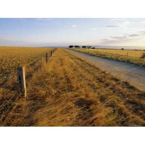 Outback Road, Cape Jervis, South Australia, Australia Photographic 