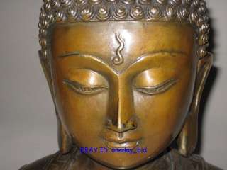 Large Chinese Bronze Sakyamuni Buddha Bust Statue 11H  