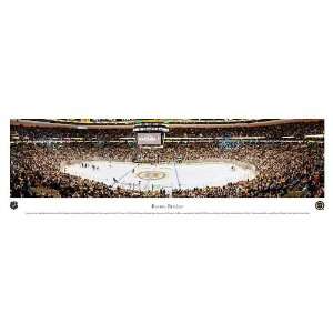  Boston Bruins   TD Banknorth Garden Pictures   NHL 