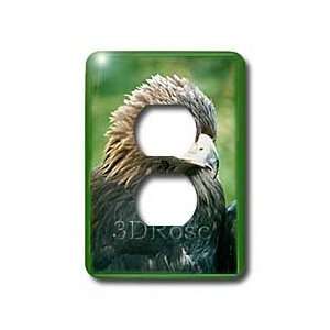  Birds   Golden Eagle   Light Switch Covers   2 plug outlet 