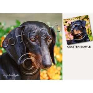  Dachshund Dog Drink Coasters   Black & Tan Kitchen 