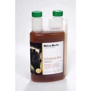  Hilton Herbs Echinacea Plus Gold 2Pt Health & Personal 