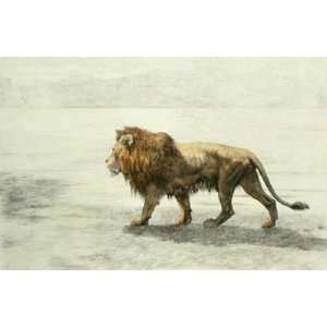  Lion on the Prowl Etching Dicksee, Herbert Animals, Dogs 