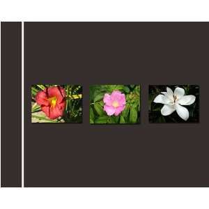  Great Gift Idea  Botanical Greeting / Note Card 