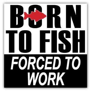 Born to Fish Forced to Work Fishing Fisherman Funny Car Bumper Sticker 