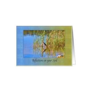  Birthday, 73rd, Tricolored Heron, Reflections Card Toys 