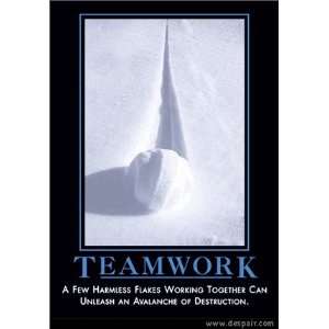  Teamwork Demotivator Lithograph