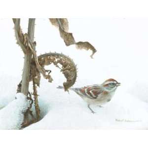 Robert Bateman   Tree Sparrow and Teasal 