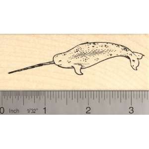  Narwhal, Toothed Whale Rubber Stamp Arts, Crafts & Sewing
