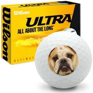  English Bulldog   Wilson Ultra Ultimate Distance Golf 