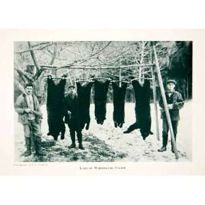  1921 Print Black Bear Hunting Catskill Mountains New York 