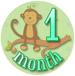 Monthly Baby Onesie Stickers Girl Boy Jungle Monkey  