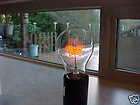 Halloween Cat, Filament light lamp bulb, Purple Lilys, Filament light 
