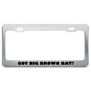  Got Big Brown Bat? Animals Pets Metal License Plate Frame 