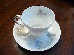 Porcelaine Theo Haviland LIMOGES France SMALL Tea Cup Porcelain Estate 