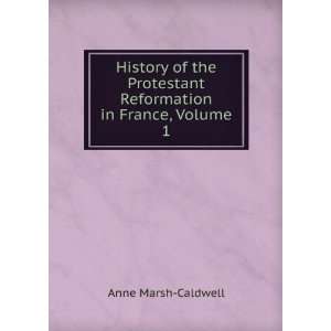  History of the Protestant Reformation in France, Volume 1 