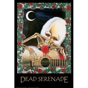  Grateful Dead Dead Serenade Music Poster 