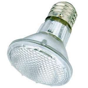  Satco Products Type PAR Halogen Bulb