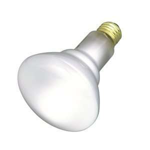  Satco Products Type Incandescent Bulb