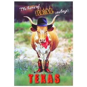 Texas Postcard   Real Cowboys, Texas Postcards, Texas Souvenirs, Texas 