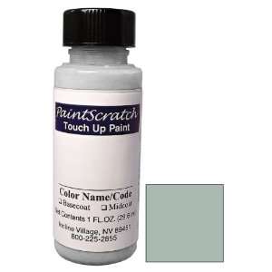  1 Oz. Bottle of Verde Silverst Metallic Touch Up Paint for 