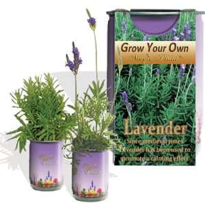  Lavender Planter   Just Openwaterwatch It Grow All 