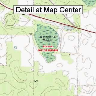  USGS Topographic Quadrangle Map   Brinson, Georgia (Folded 