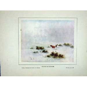    1930 Lorna Doone Winter Scene Exmoor Ponies Brittan