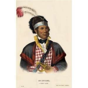  McINTOSH, A Creek Chief McKenney Hall Indian Print 13 x 