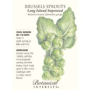    Long Island Improved Brussels Sprout Seed Patio, Lawn & Garden