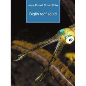  Bigfin reef squid Ronald Cohn Jesse Russell Books