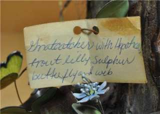 RARE Vintage Norman Judith Brumm Enamel On Copper Bird Flowers Web 