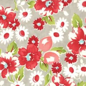    Ruby Fabric by Bonnie and Camille Swoon Grey Arts, Crafts & Sewing