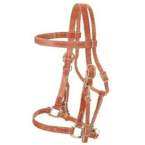    Australian Outrider Leather Bridle Halter Combo