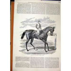  Horse Racing 1876 Petrarch Winner St Leger Old Print