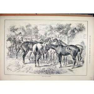 Horses Sale Slave Market 1884 Country Lane Old Print