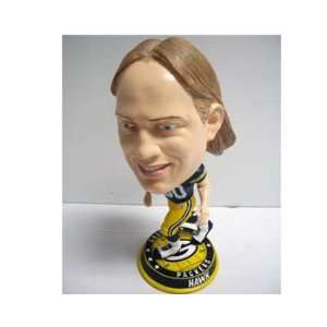  Packers A.J. Hawk Bighead Bobblehead Toys & Games