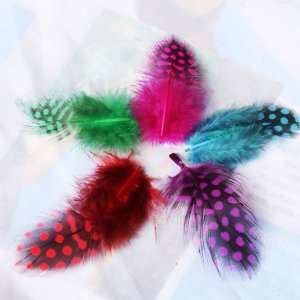 50pcs Mixed Color Guinea Hen Feathers