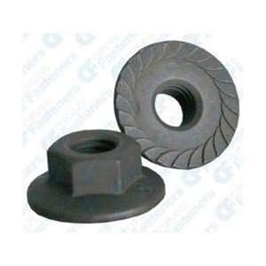  100 M6 1.0 Metric Spin Lock Nuts With Serrations 